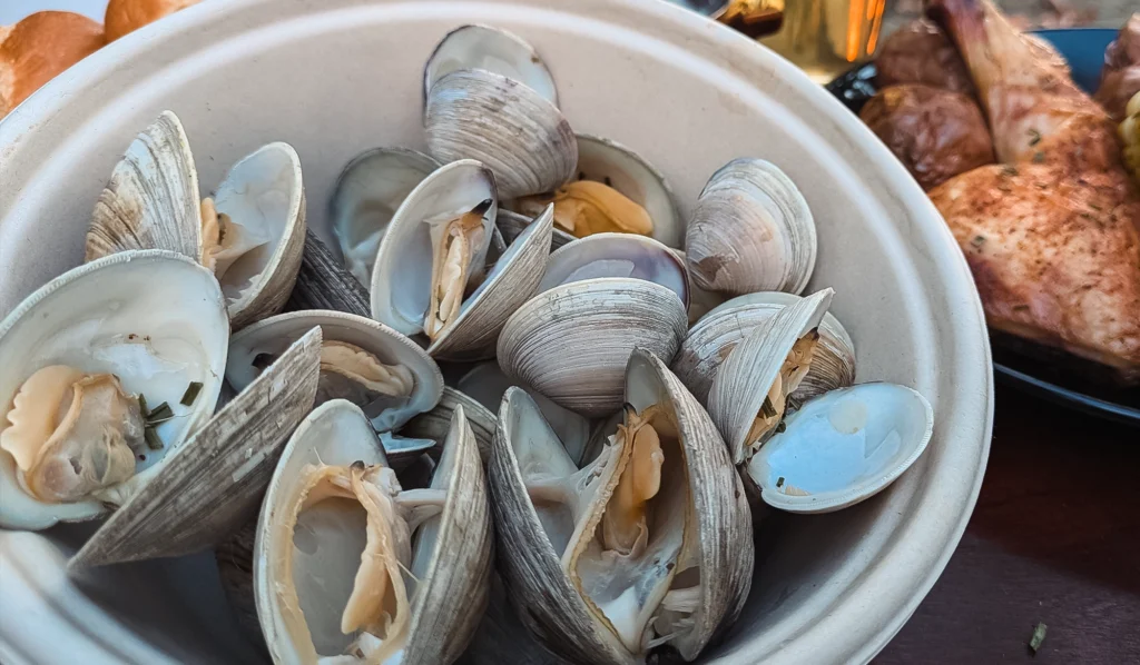 Closeup of a bowl of freshly steamed clams open in a bowl.